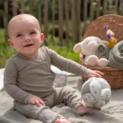 Little Dutch Aktivitetsball, , Little Farm Outlet