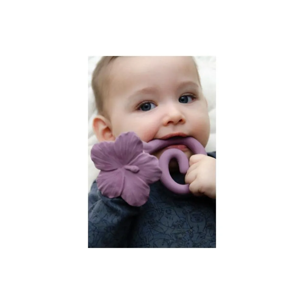 Aktivitetsleke, Natruba, Bitering, Hawaii, Rose/Lilla Sale