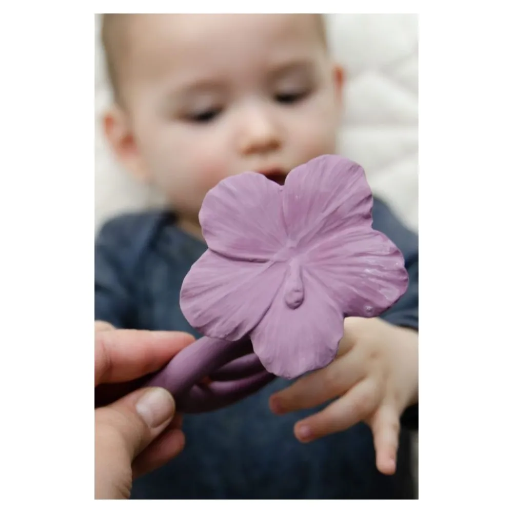 Aktivitetsleke, Natruba, Bitering, Hawaii, Rose/Lilla Sale