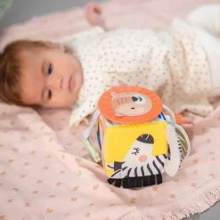 Aktivitetsleke, TAF Toys, Discovery Cube Best