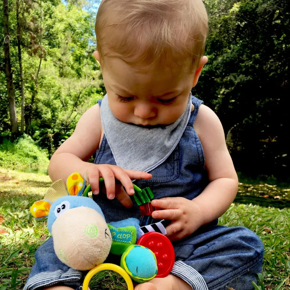 Aktivitetsrangle, Playgro, Clip Clop Blue 0mnd+ Best