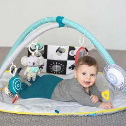 Babygym, TAF Toys, All Around Me Best
