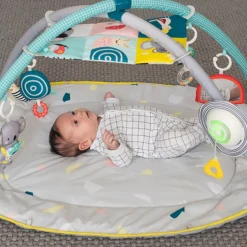 Babygym, TAF Toys, All Around Me Best