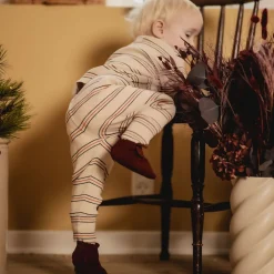 Babysko, Petit La Busch, Cognac