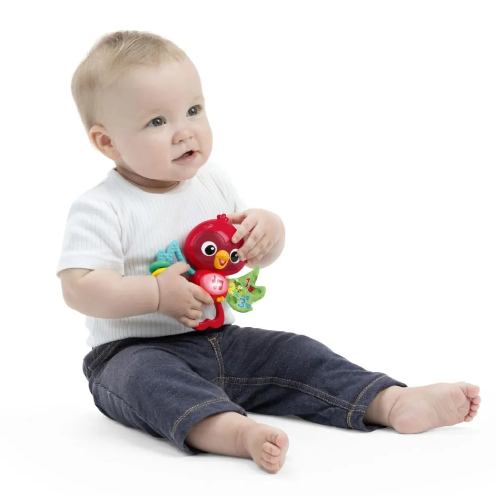 Biteleke m/musikk, Baby Einstein, Roxy's Bright Flight