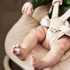 Bouncer Base, Elodie, Grace, Moonshell Clearance