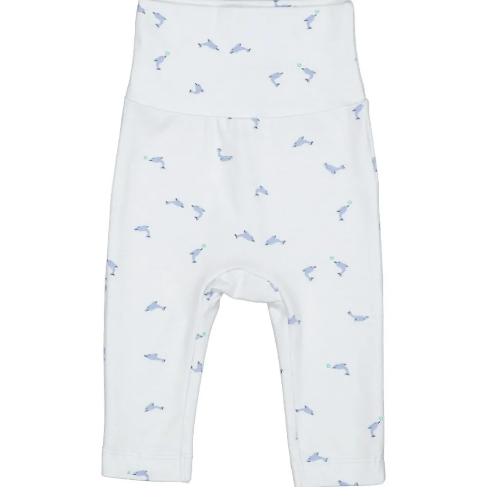 Marmar Bukse, , Piva, Dolphin Discount