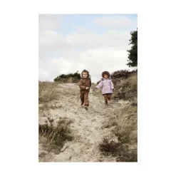 Bukse, Minymo, Elderberry