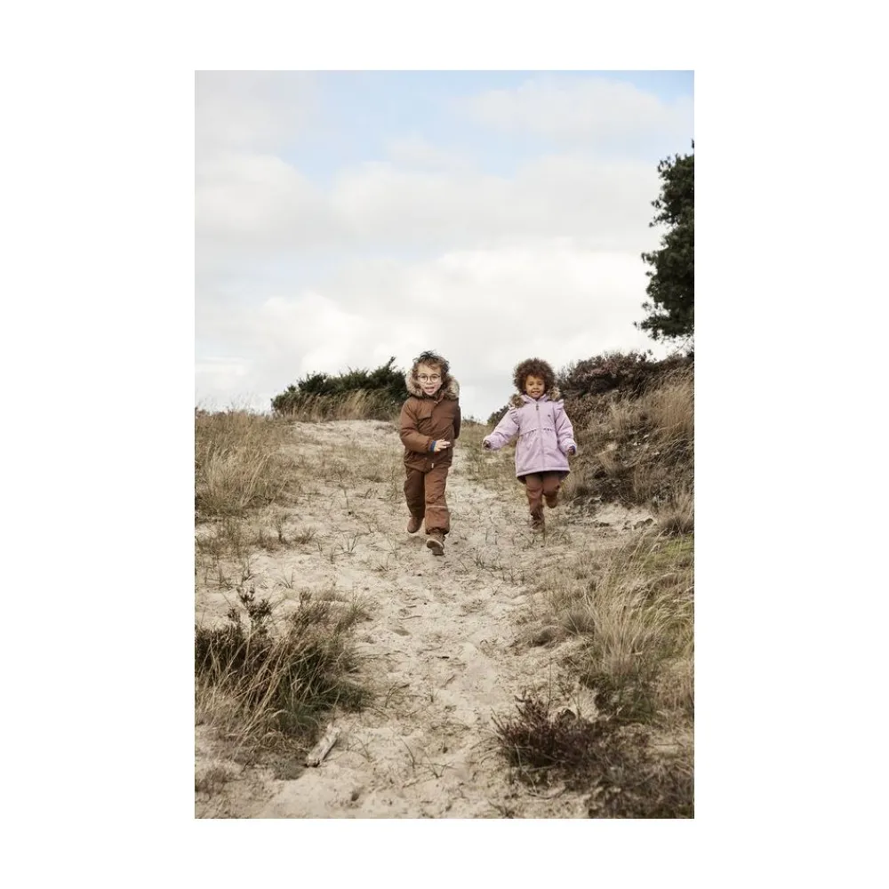 Bukse, Minymo, Elderberry