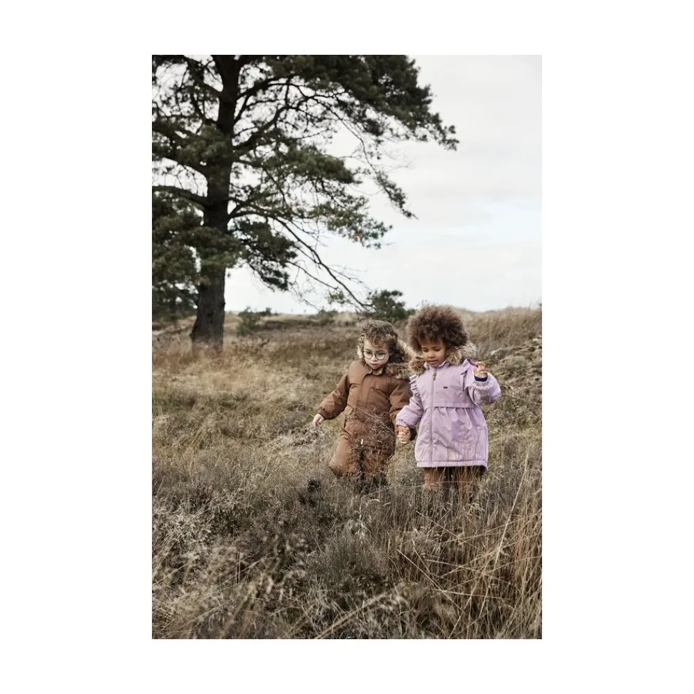 Bukse, Minymo, Elderberry