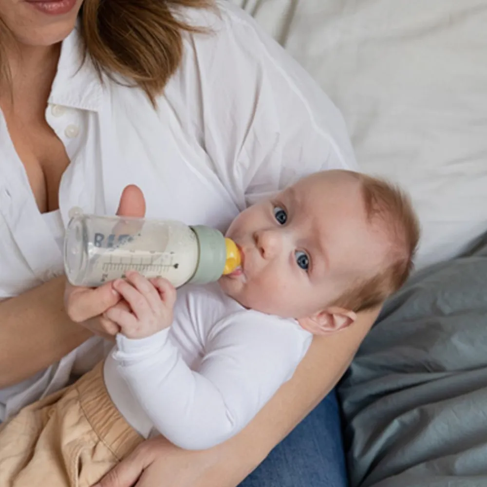 Bibs Flaskesmokk, , Latex Rund, Slow Flow, 2pk Outlet