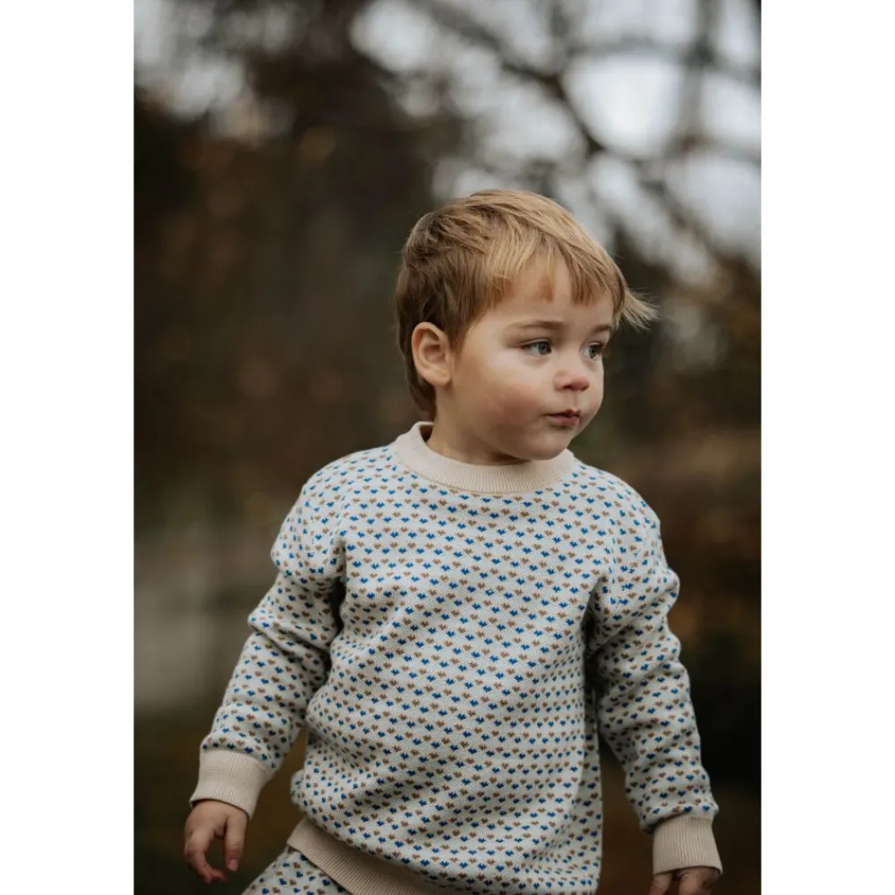 Genser, Fliink, Baie Multi, Sandshell