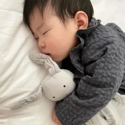 Liewood Kosefille, , Kanin, Dumbo Grey Outlet