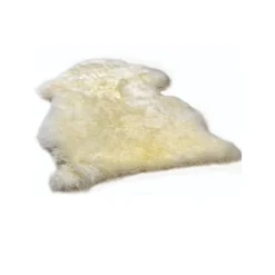 Lammeskinn, korthåret, Segr, Hvit New