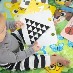 Lekematte, Baby Einstein Best