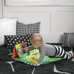 Lekematte, Baby Einstein Best