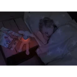 Nattlampe, Zazu, Fin Grey Hot