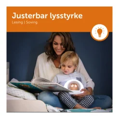 Zazu Nattlampe, , Lou, Brun Online