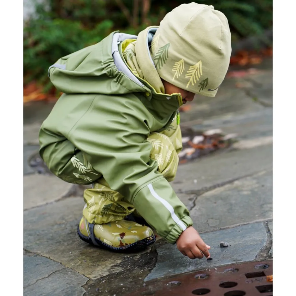 Kattnakken Plask Regnsett, , Tolvmeterskogen, Mose Clearance