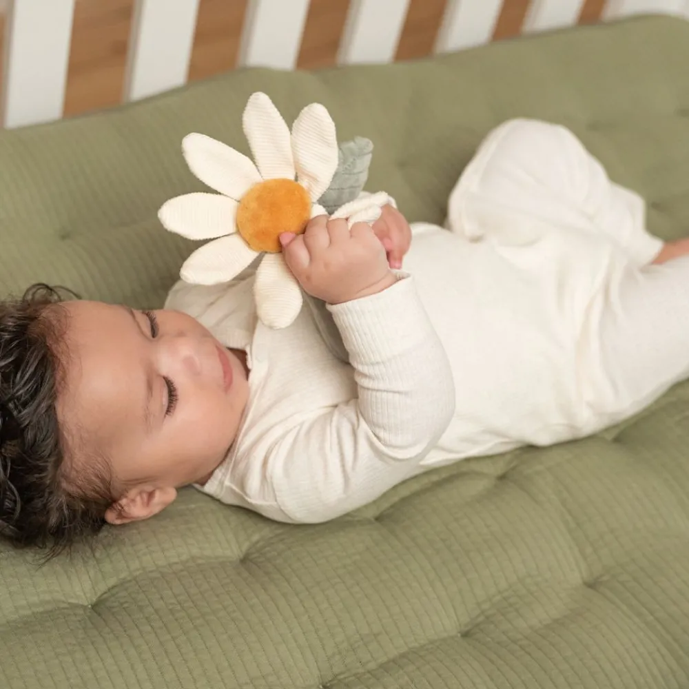 Little Dutch Rangle, , Blomst, Little Farm New