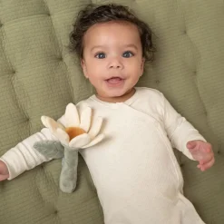 Little Dutch Rangle, , Blomst, Little Farm New