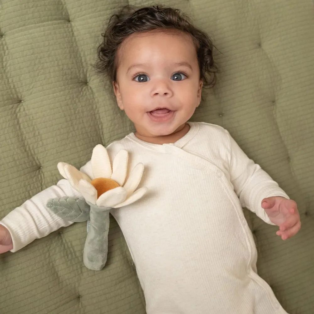 Little Dutch Rangle, , Blomst, Little Farm New