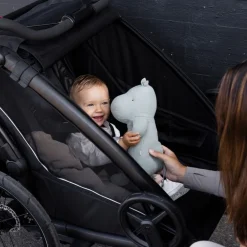 Thule Sykkelvogn, , Chariot Sport 2, Single Black Outlet