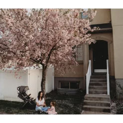 Vognvugge, Rockit, MK1 Hot