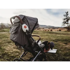 Vognvugge, Rockit, MK1 Hot