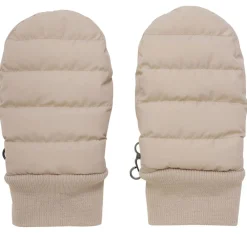 Votter, EnFant, Fungi New